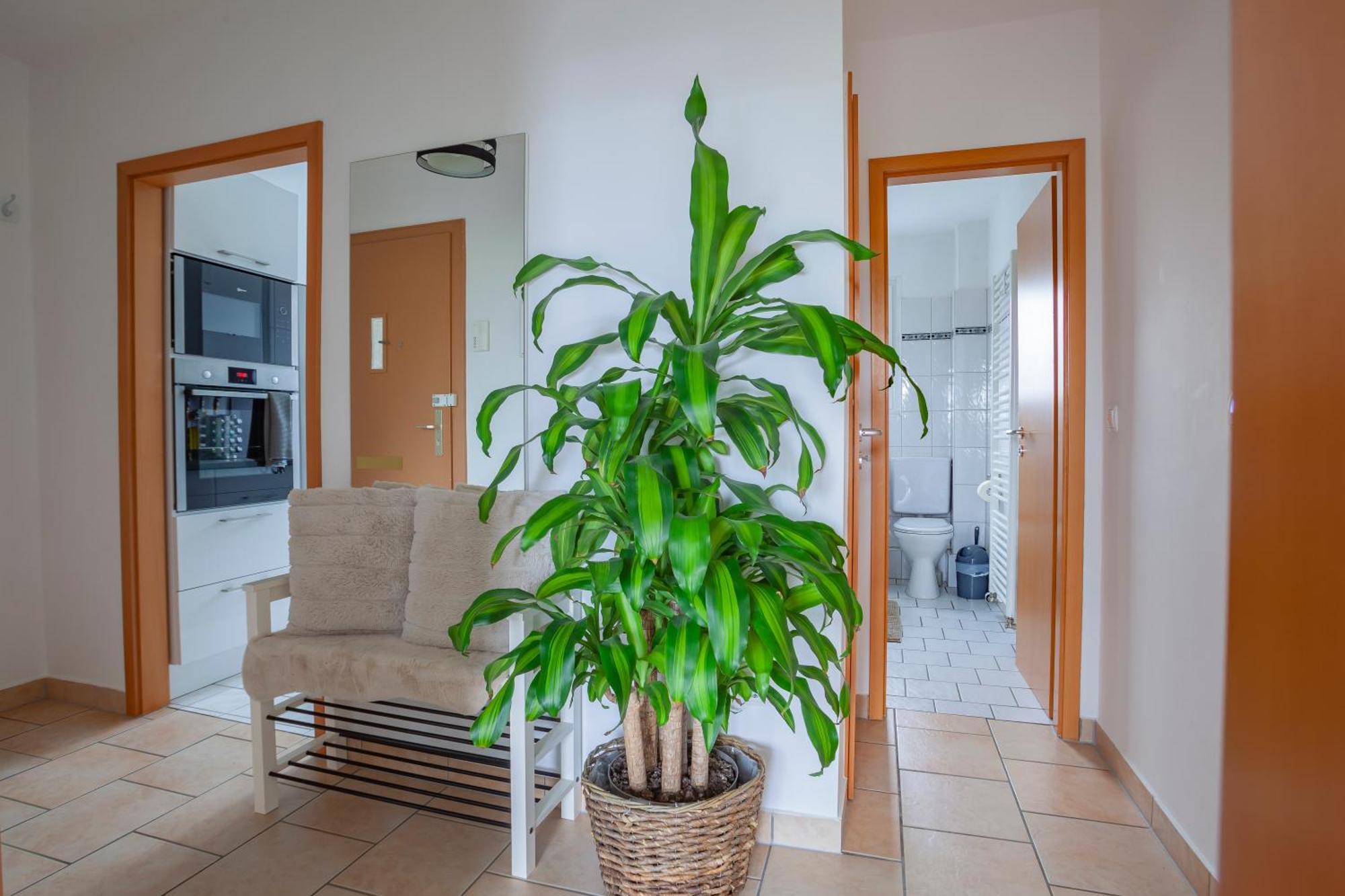 Exclusive 2-room-city-apartment - Contactless Check-in
